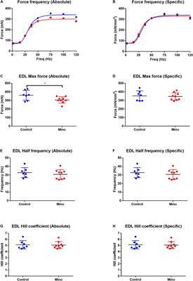 Minocycline Treatment Reduces Mass and Force Output From Fast-Twitch Mouse Muscles and Inhibits Myosin Production in C2C12 Myotubes